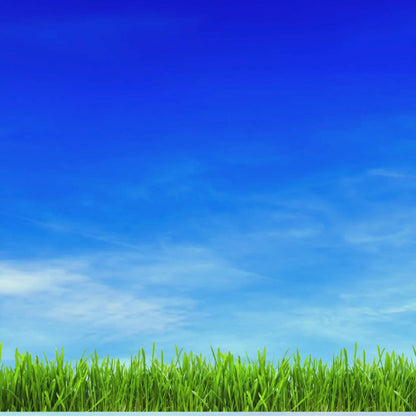 Hydrangeas Badge Reel